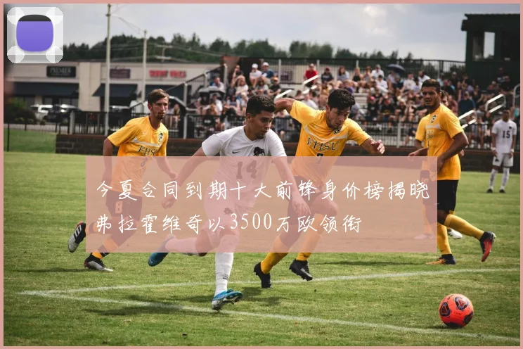 今夏合同到期十大前锋身价榜揭晓弗拉霍维奇以3500万欧领衔