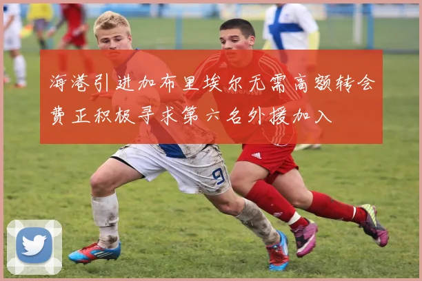 海港引进加布里埃尔无需高额转会费正积极寻求第六名外援加入