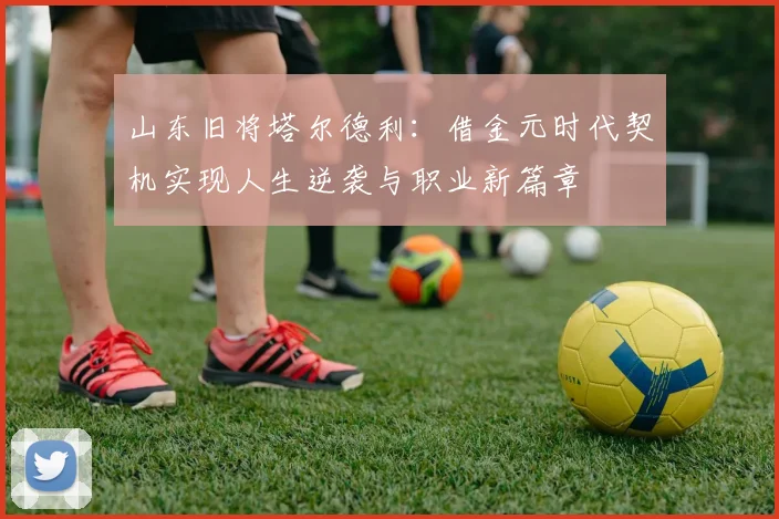 山东旧将塔尔德利：借金元时代契机实现人生逆袭与职业新篇章