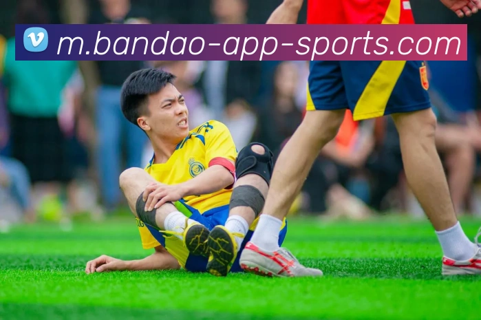 半岛体育服务体系